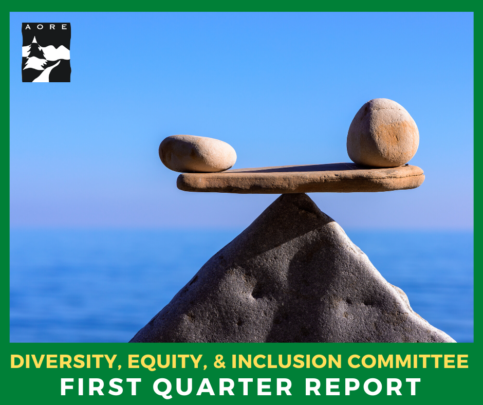 dei first quarter report aore committee