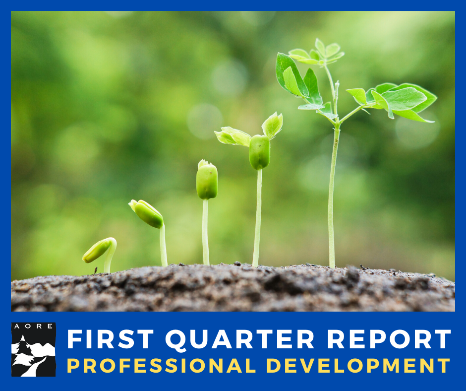 aore professional development first quarter report